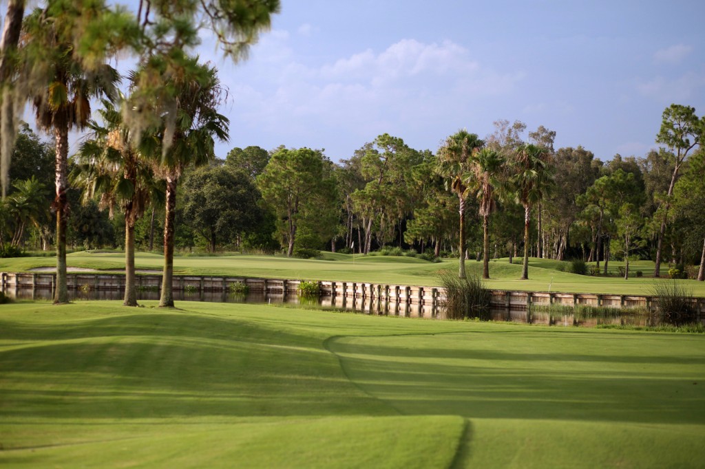 The Forest Country Club Fort Myers Florida Golf Communities