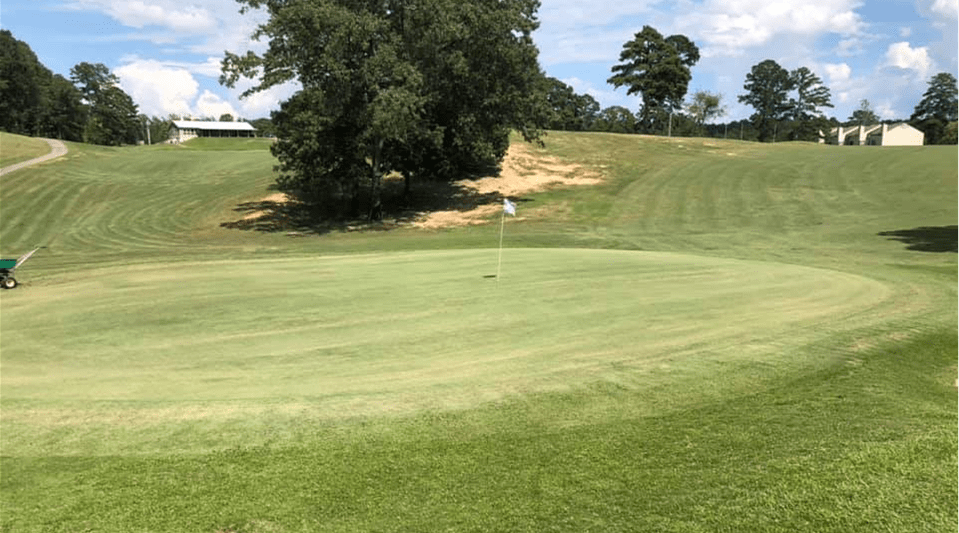 Golf Courses in Alpine, Alabama (Public & Private)