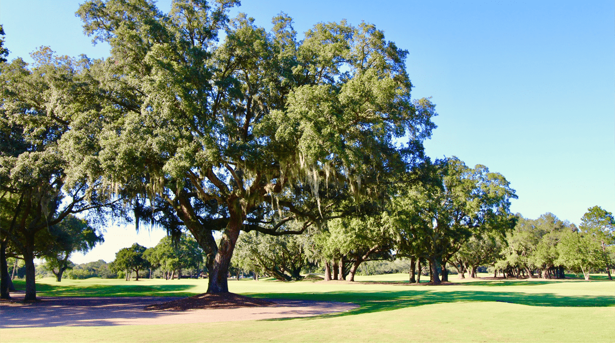 Golf Courses in Point Clear, Alabama (Public & Private)