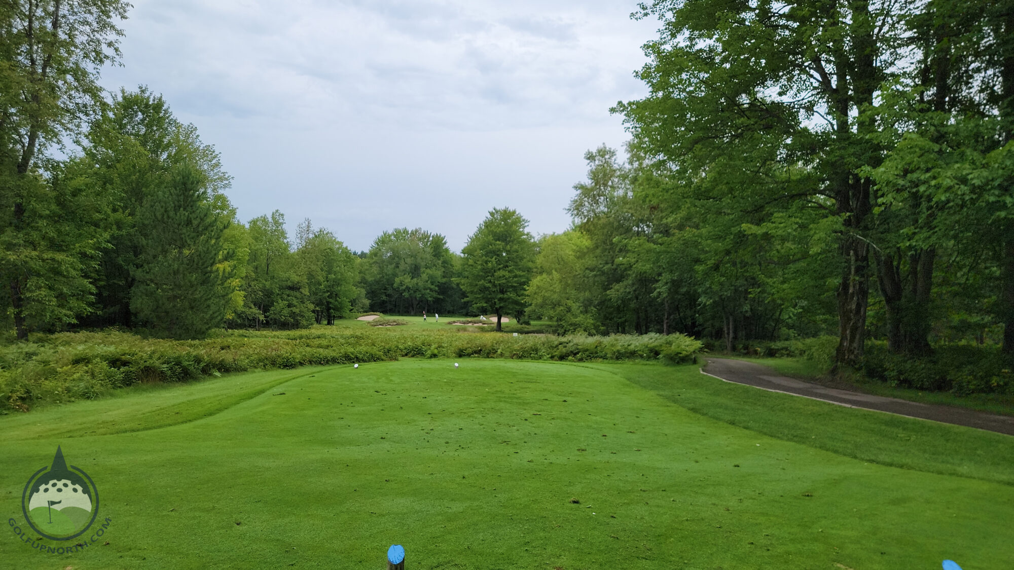 Treetops Golf Resort The Signature Photos Golf Up North