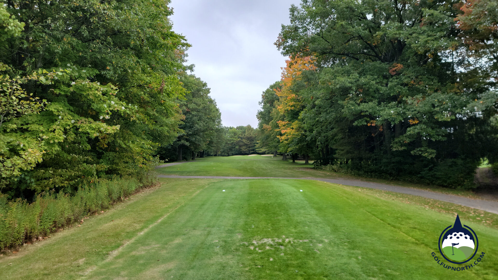 The Loon Golf Resort The Ridge Golf Course Photos Golf Up North