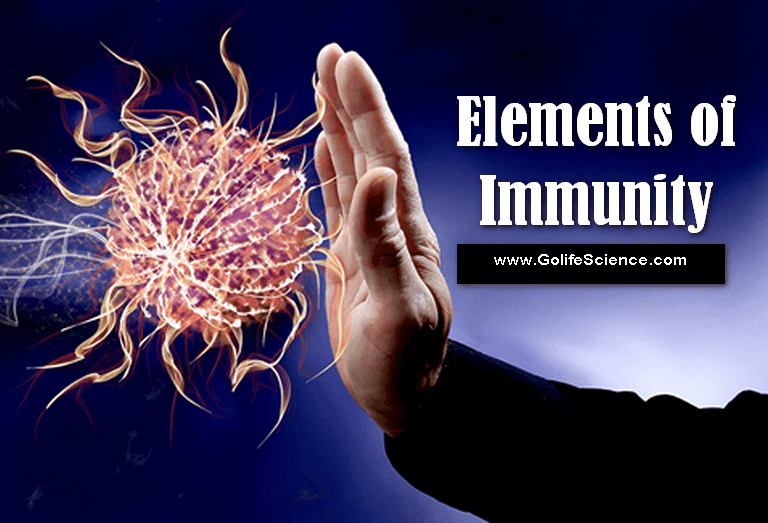 Immunity Basic elements of Immunity and its Types Notes)