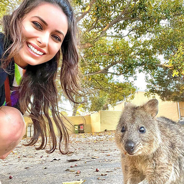 Quokka Selfie