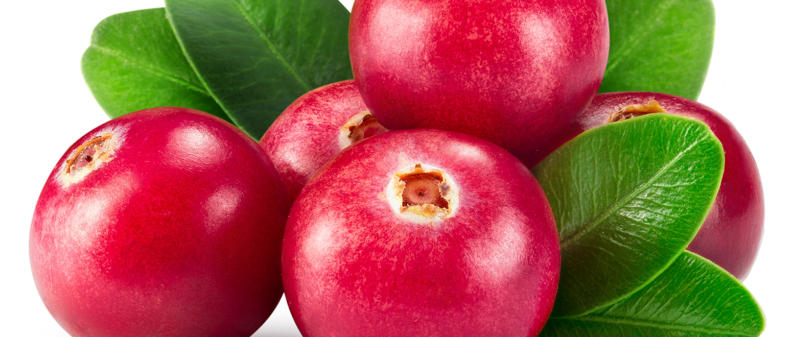 Harvest of the Month Cranberries Go Live Smart Go Live Smart