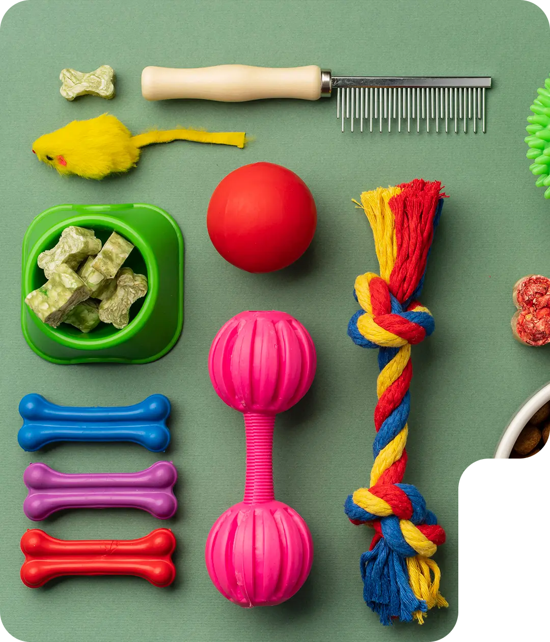 Best Pet Supplies Fulfillment Service in Australia Locad