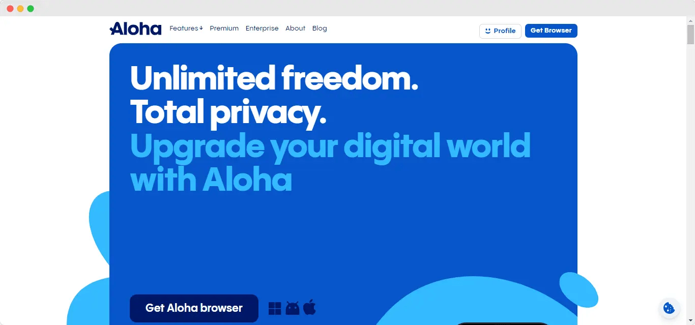 13 Best Unblocked Browsers To Bypass Blocked Sites
