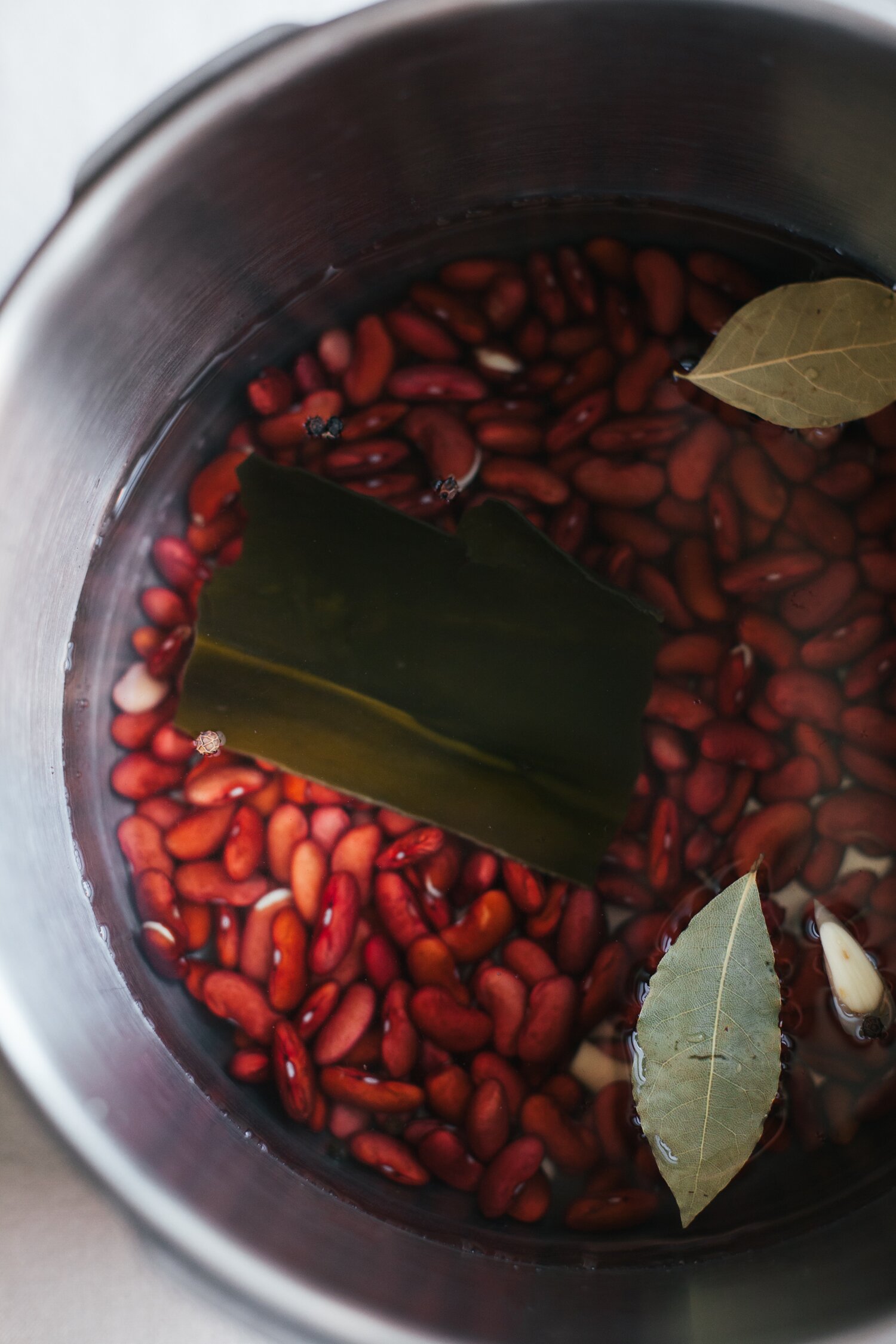 Perfect Pressure Cooker Beans + Quick Marinated Beans Golubka Kitchen