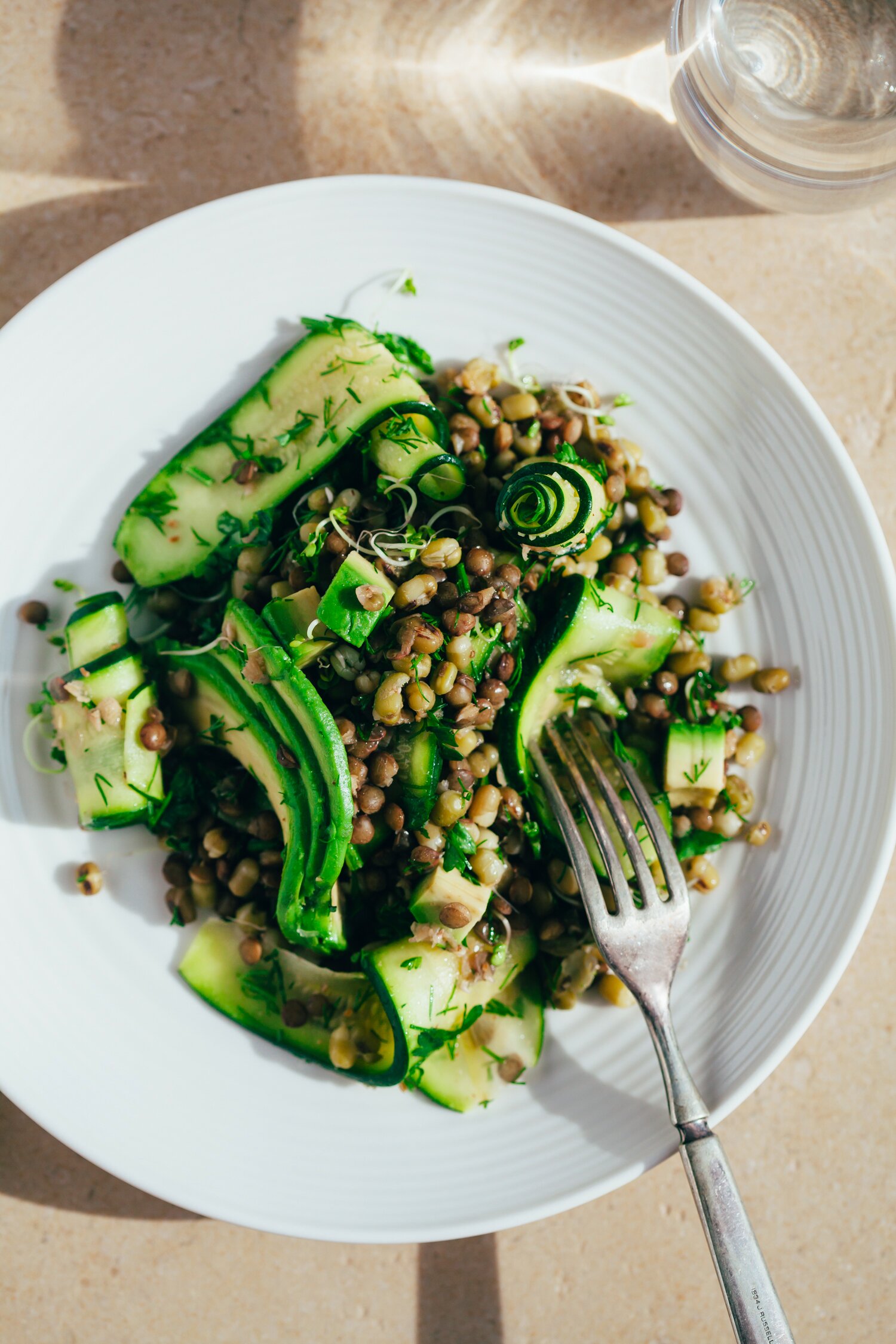 Fennel Marinated Zucchini and Mung Beans Golubka Kitchen
