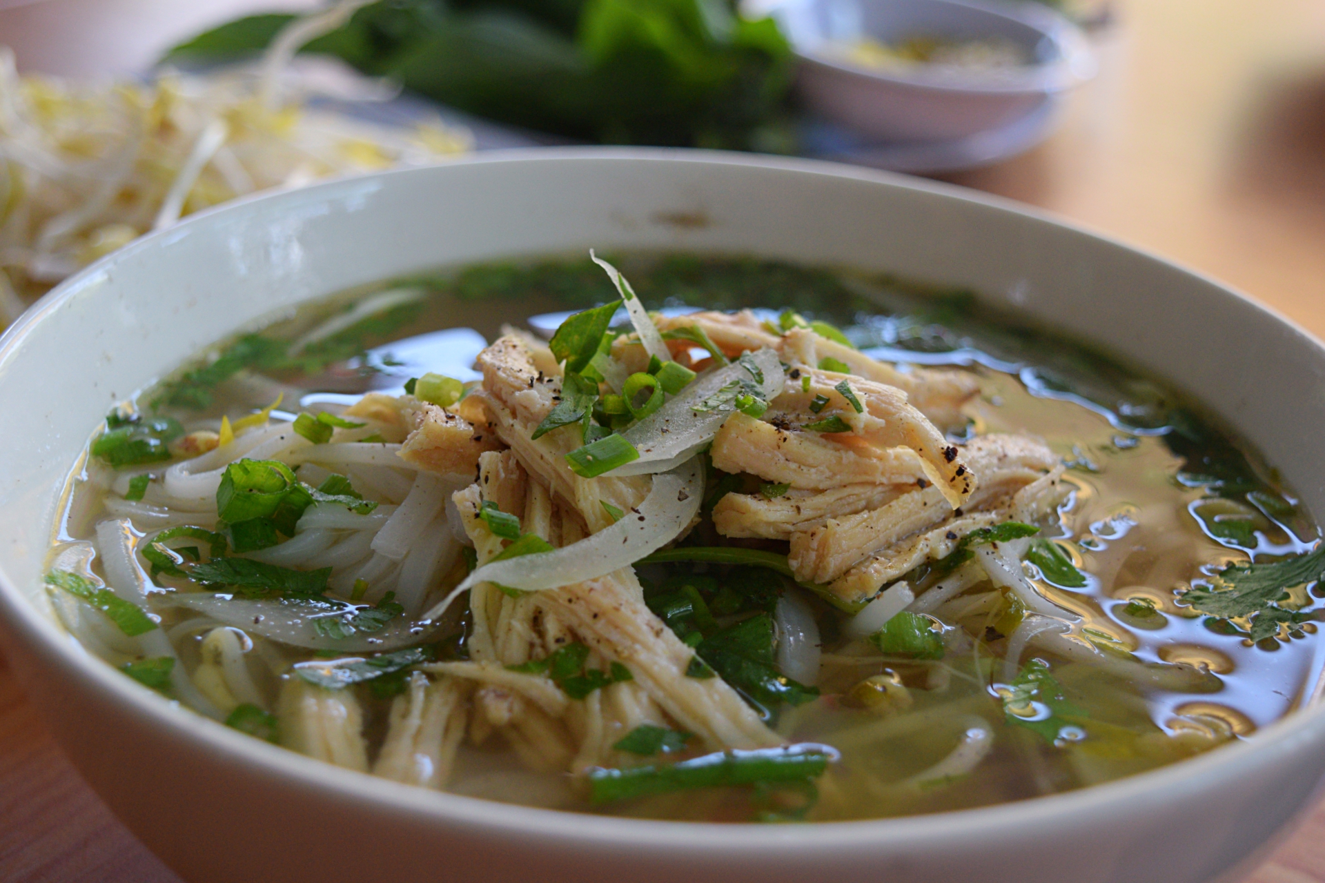 Top 10 Vietnamese Foods GoMad Nomad Travel Mag