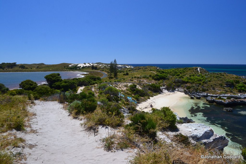 Exploring Rottnest Island GoMad Nomad
