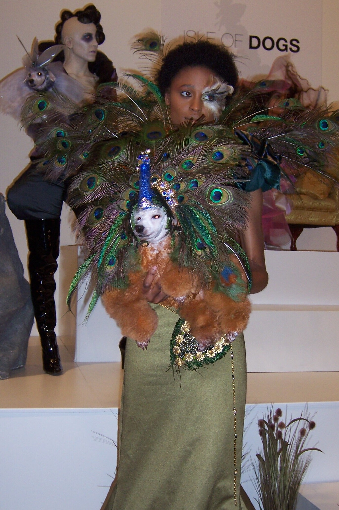 Pet Fashion Week Paws at New York City GO Magazine