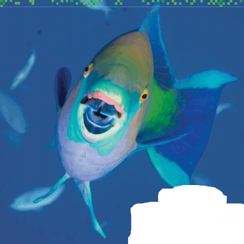 Go Math Grade 2 Chapter 3 Answer Key Pdf Basic Facts and Relationships ...