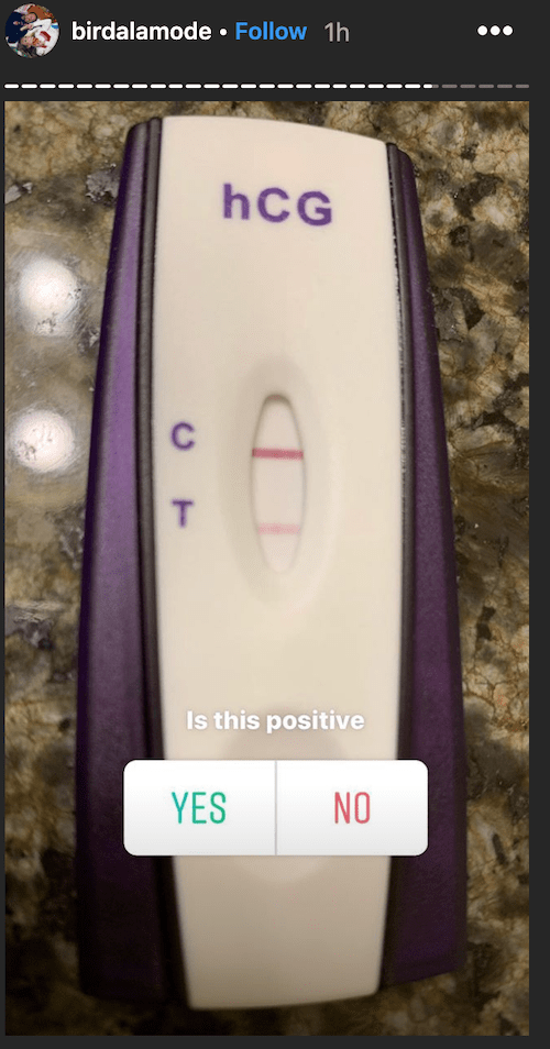 Shannon Bird Can Get Pregnant Again * GOMIBLOG®