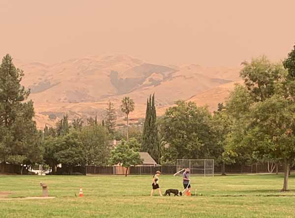 Weather in Milpitas, CaliforniaForecasts and History Go Milpitas