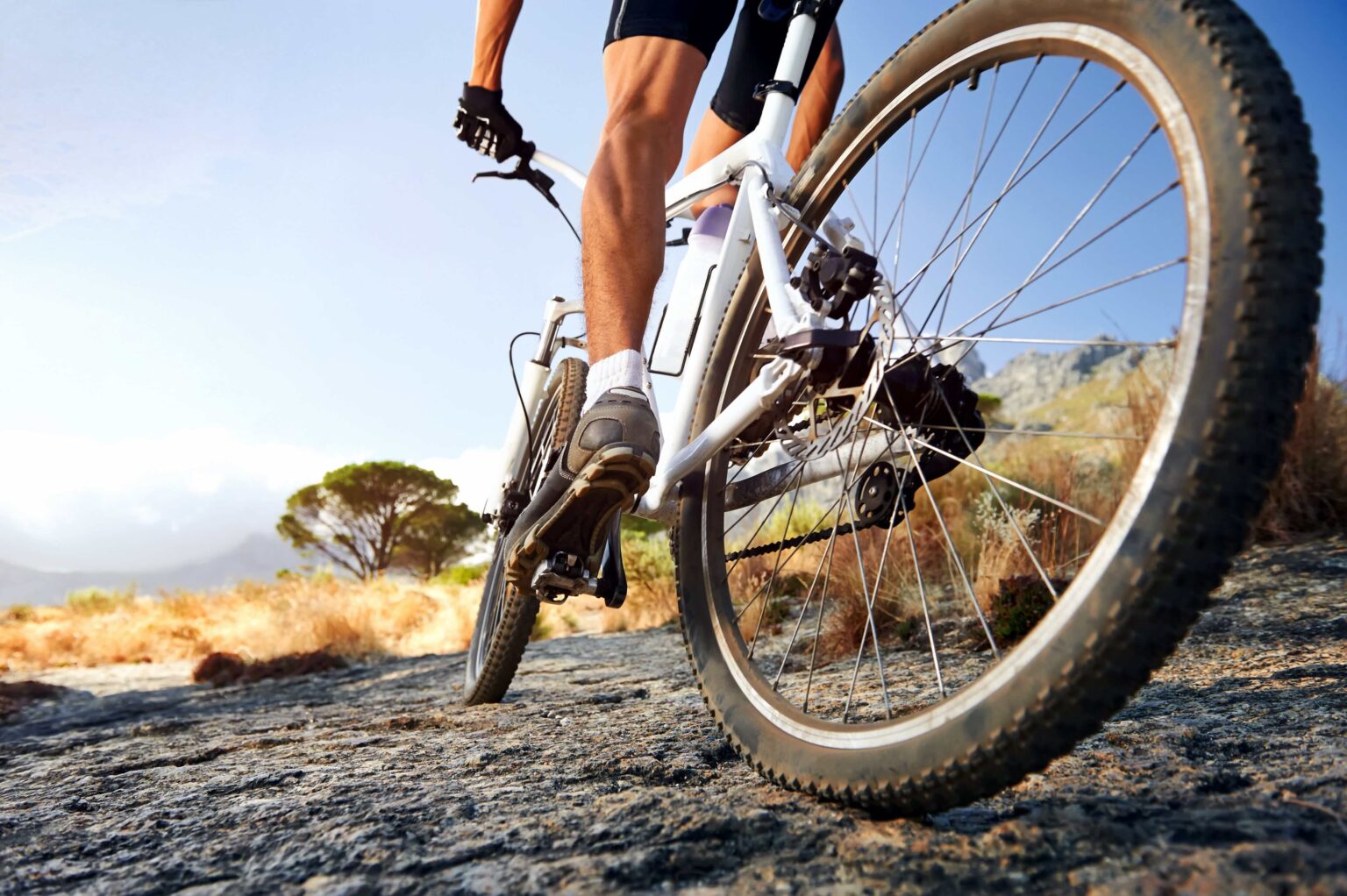 9 Best Mountain Bikes Under 1500 2021 Top Picks