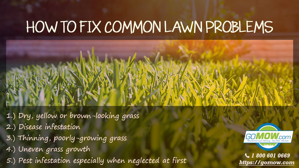 Latest Lawn Mowing & Lawn Care Services Blogs 2021 GoMow