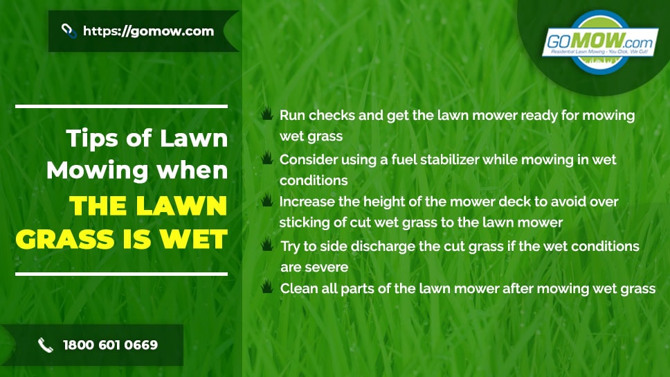 Best Time To Mow Lawn Before Or After Rain - Get More Anythink's