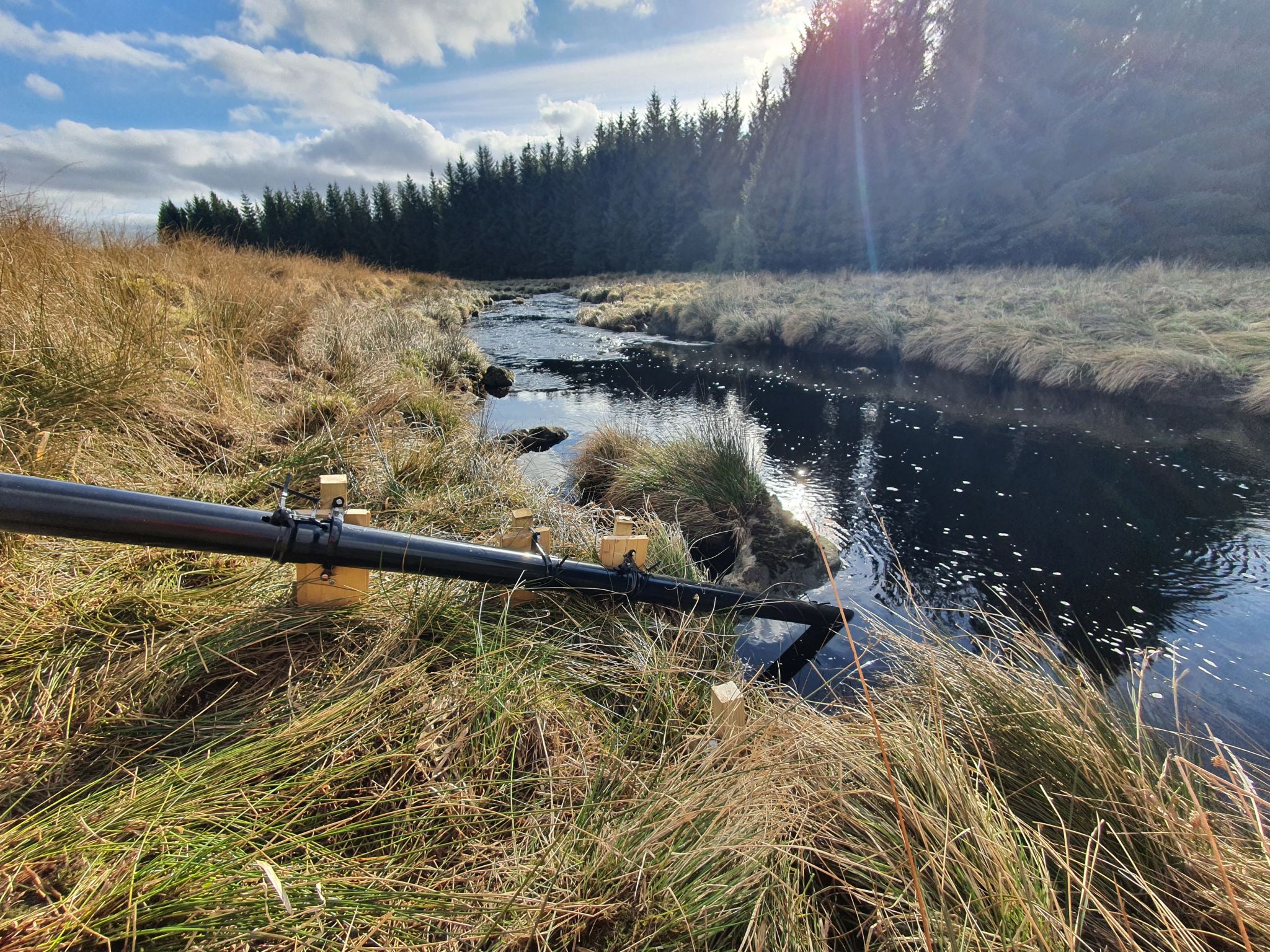 Water Quality Monitoring Programme in the UK