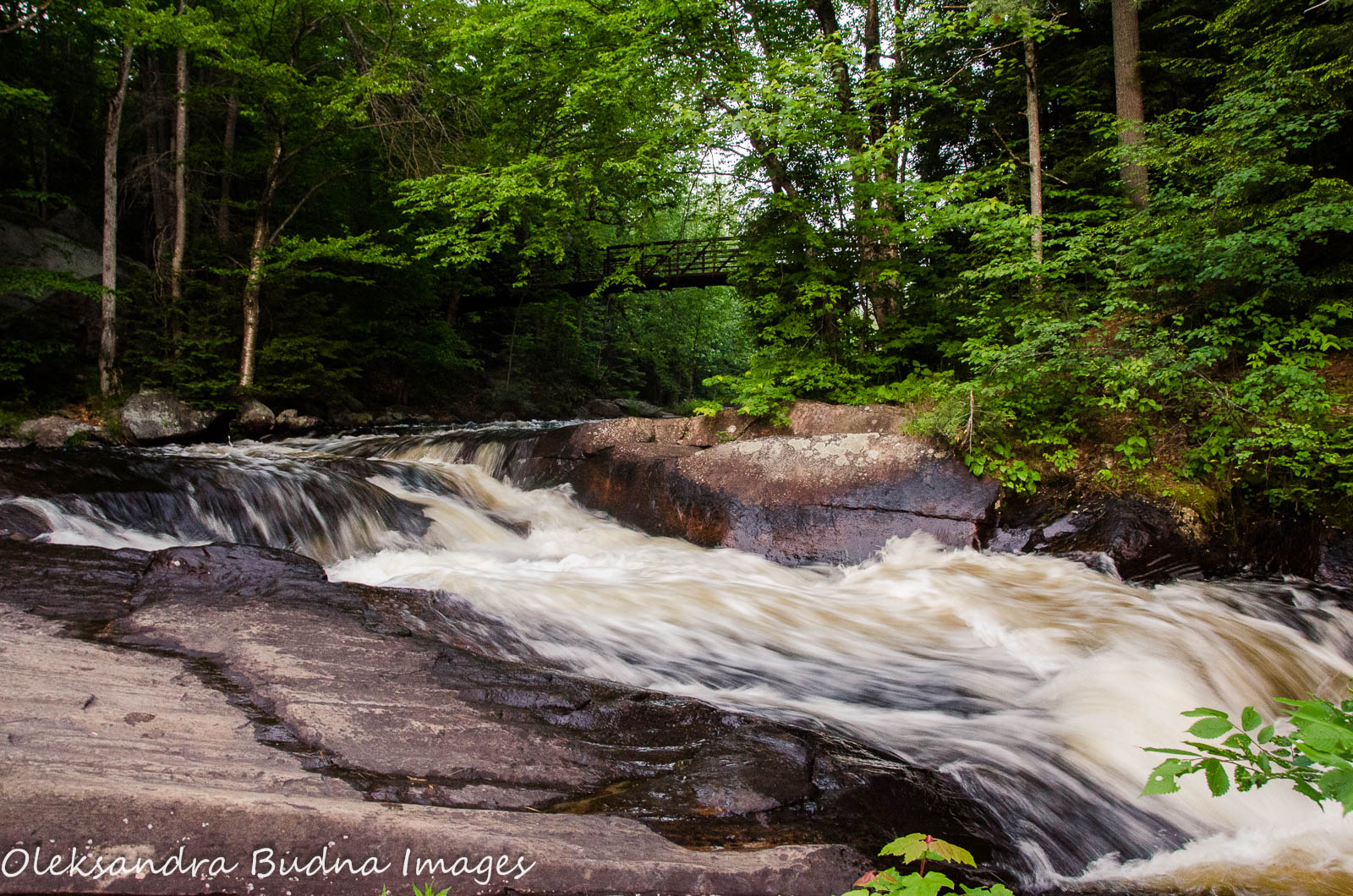 Arrowhead Provincial Park The Image Kid Has It!