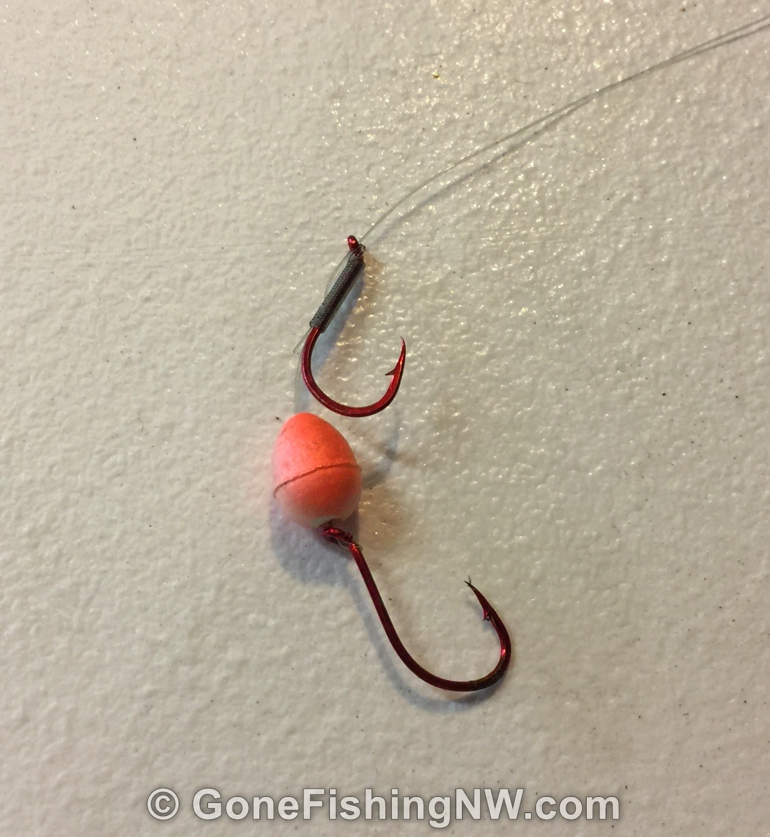 Best Guide To Sidedrift For Salmon Gone Fishing Northwest