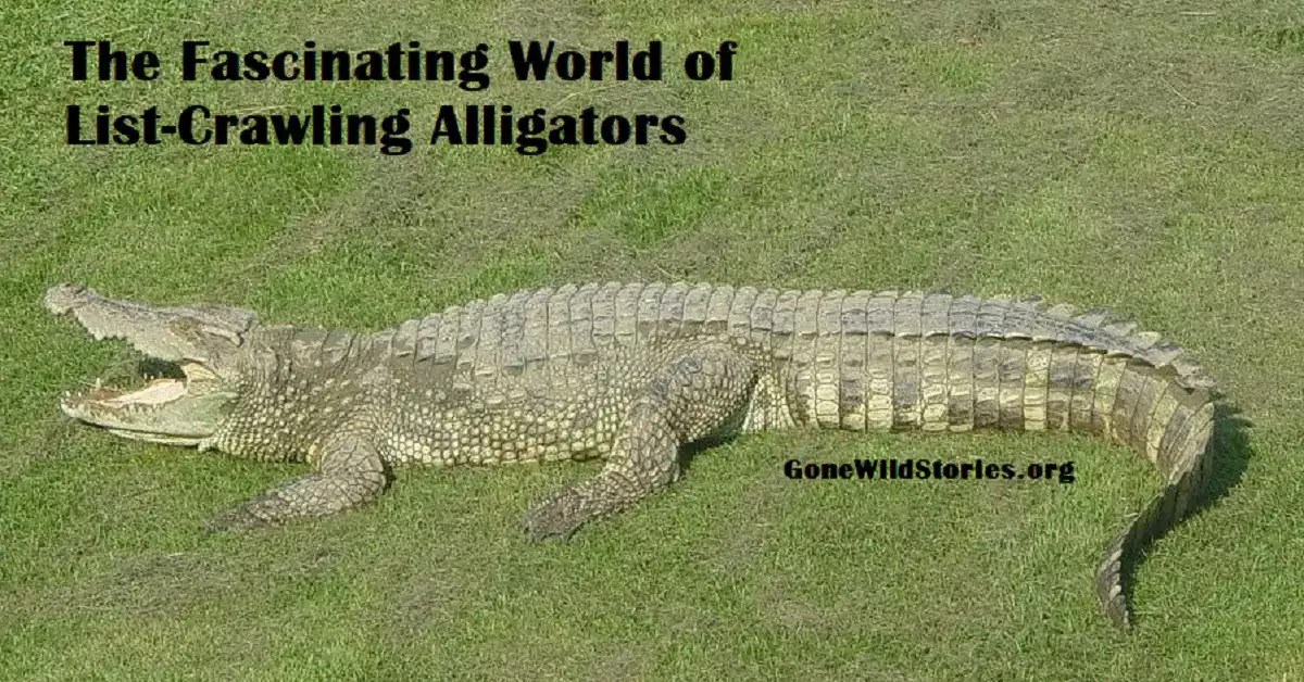Exploring the Depths The Fascinating World of ListCrawling Alligators(02)