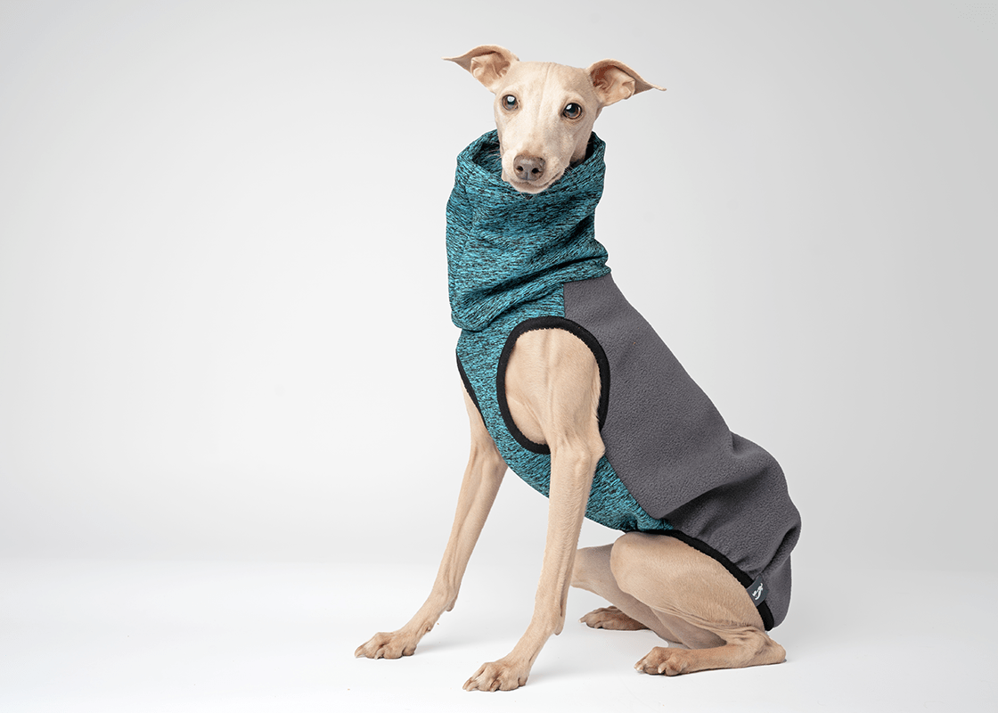 SHADOW JUMPER TURQUOISE Gone With The Hound