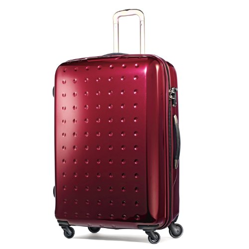 Samsonite Luggage