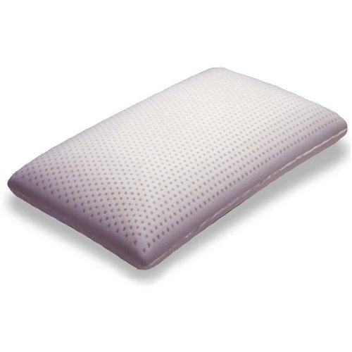 For Sale Beautyrest Latex Bed Pillow With Zippered Cover Queen Bed