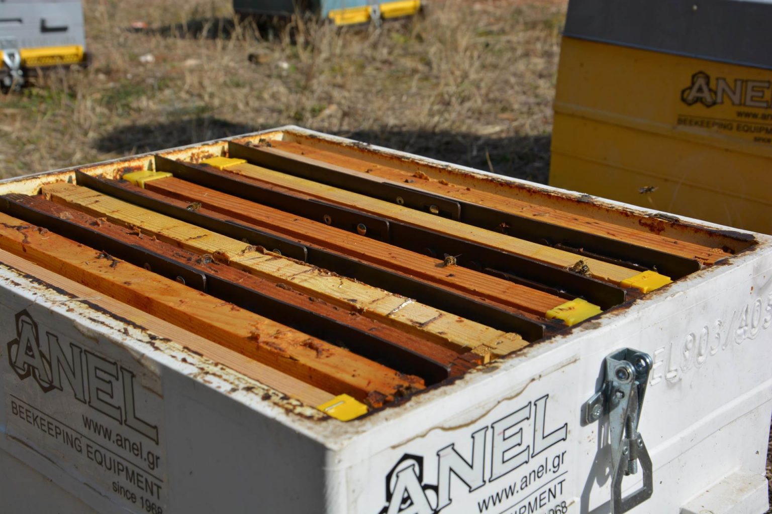 BEEHIVE VERTICAL DIVIDER QUEEN EXCLUDER