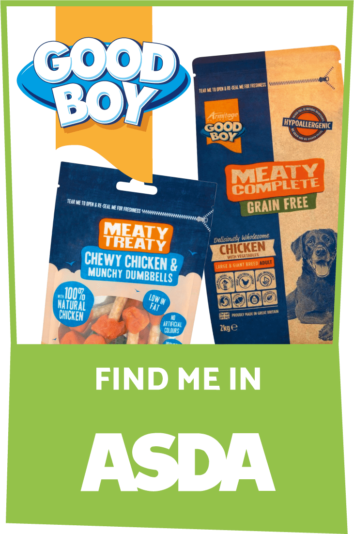 Good Boy Dog Treats & Toys Your Furry Pal Will Love