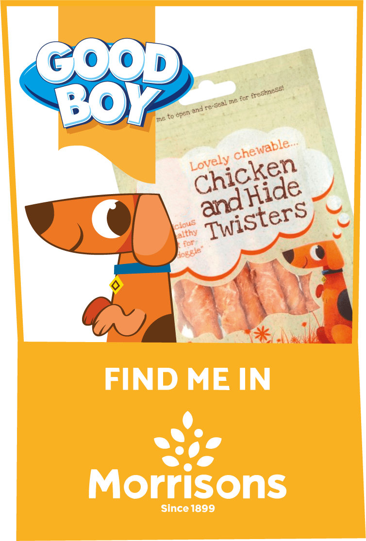 Good Boy Dog Treats & Toys Your Furry Pal Will Love