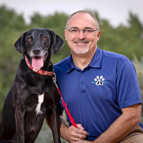 About Us Good Buddy Dog Training Rio Rancho NM