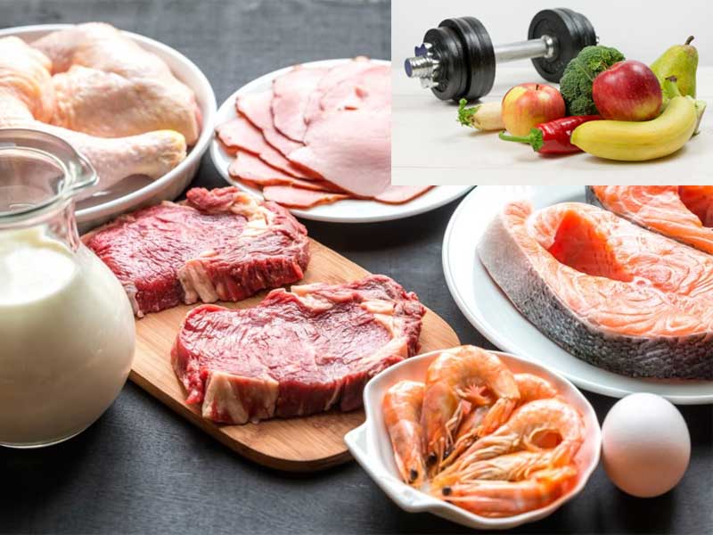 Healthy for Life bodybuilding protein intake calculator Protein