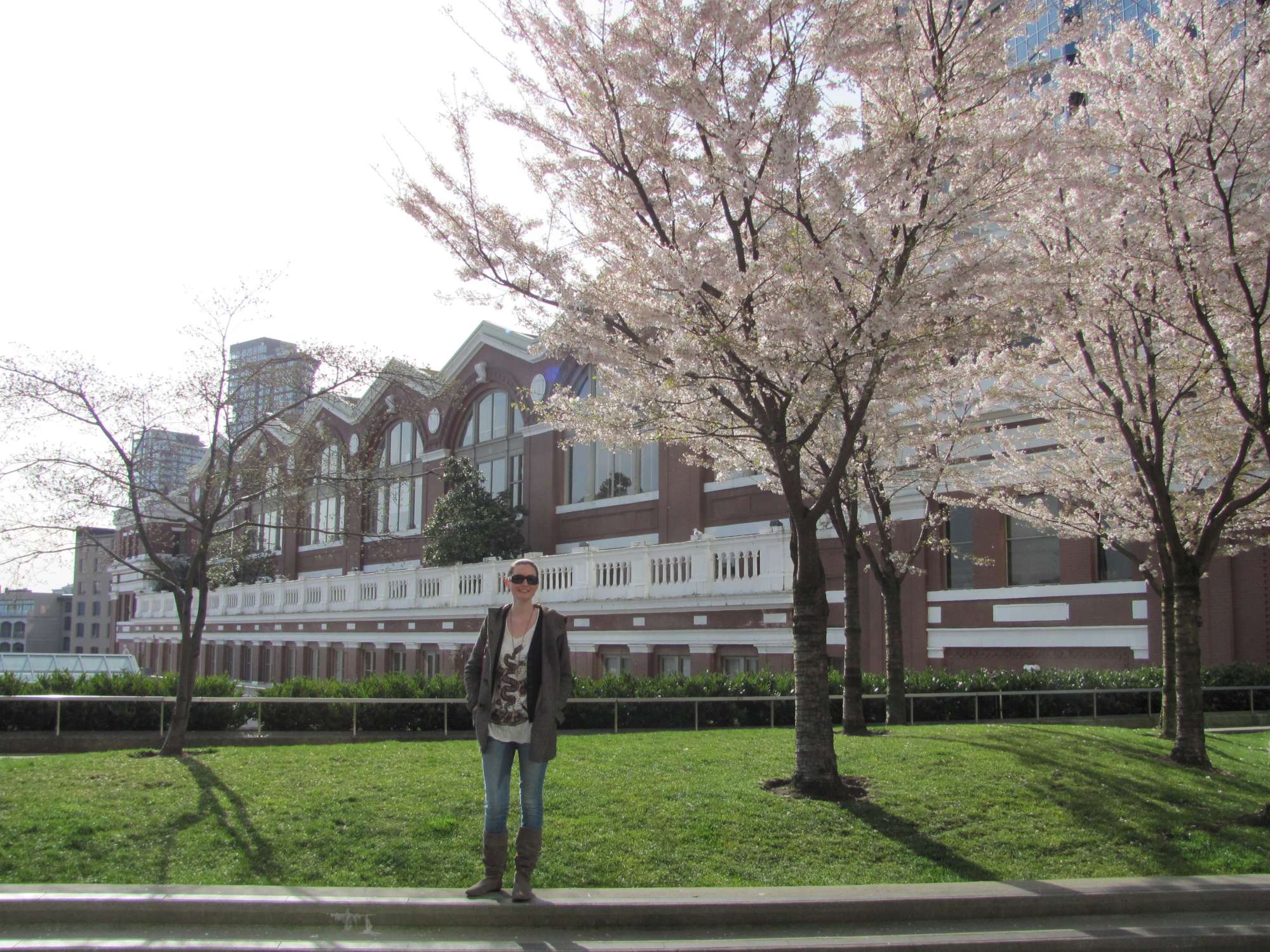 Cherry blossoms… Goodbye Perth, Hello Canada