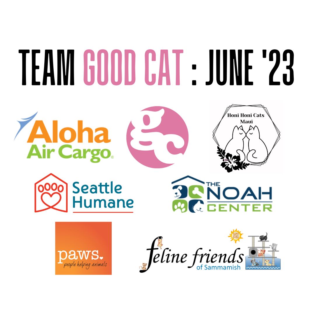 JUNE 2023 RECAP // NEW PARTNERS & COLLABORATORS! Good Cat Network