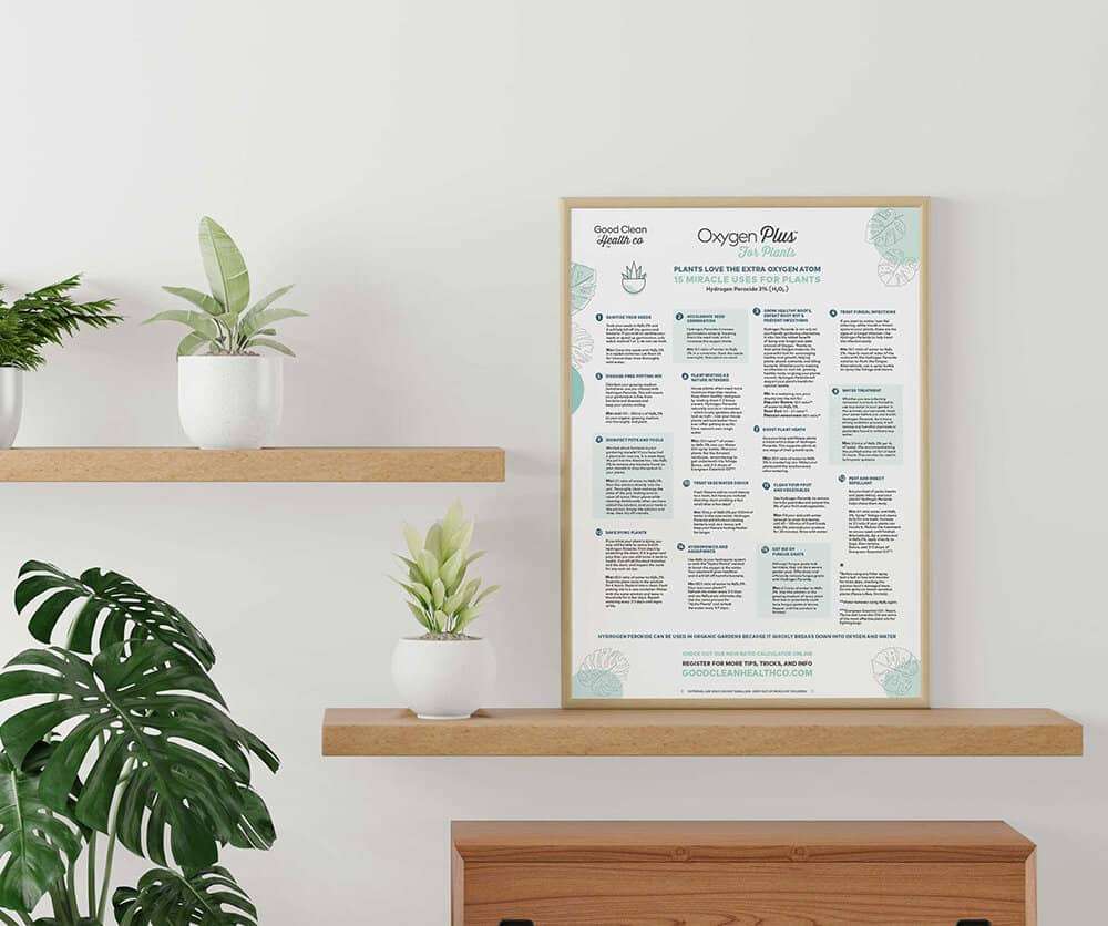 Miracle Uses of Hydrogen Peroxide for Plants + Plant Mister