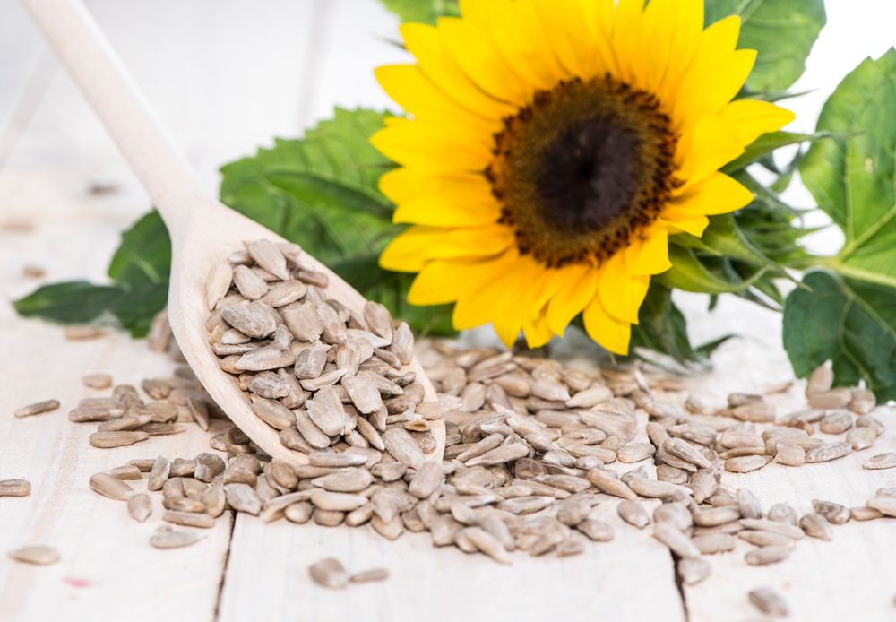 The 5 Vital Nutrients in Sunflower Seeds Good Decisions