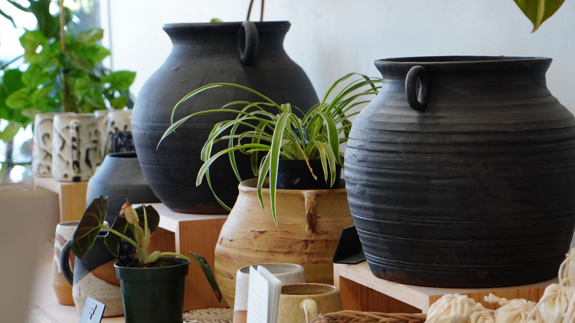 Contact Good Dirt Pottery Studio