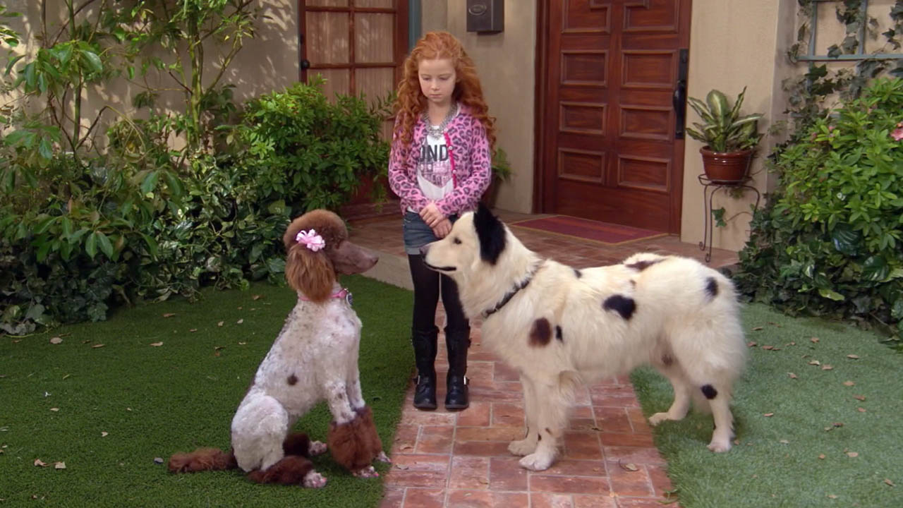 Is Stan From Dog With A Blog Still Alive