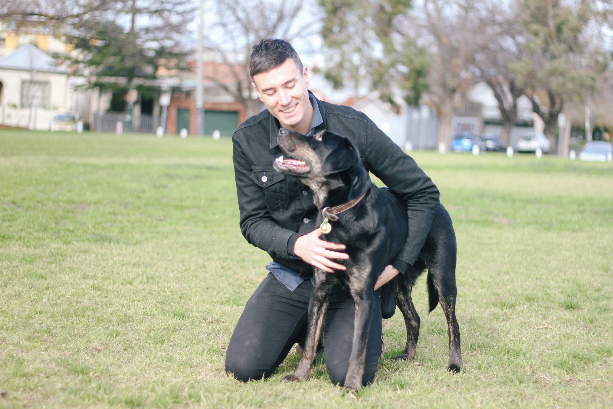 Good Dog Behaviour & Training InHome Dog and Puppy Training Melbourne