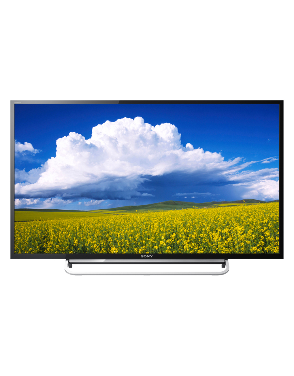 40″ Sony LED Display Good Dog Digital