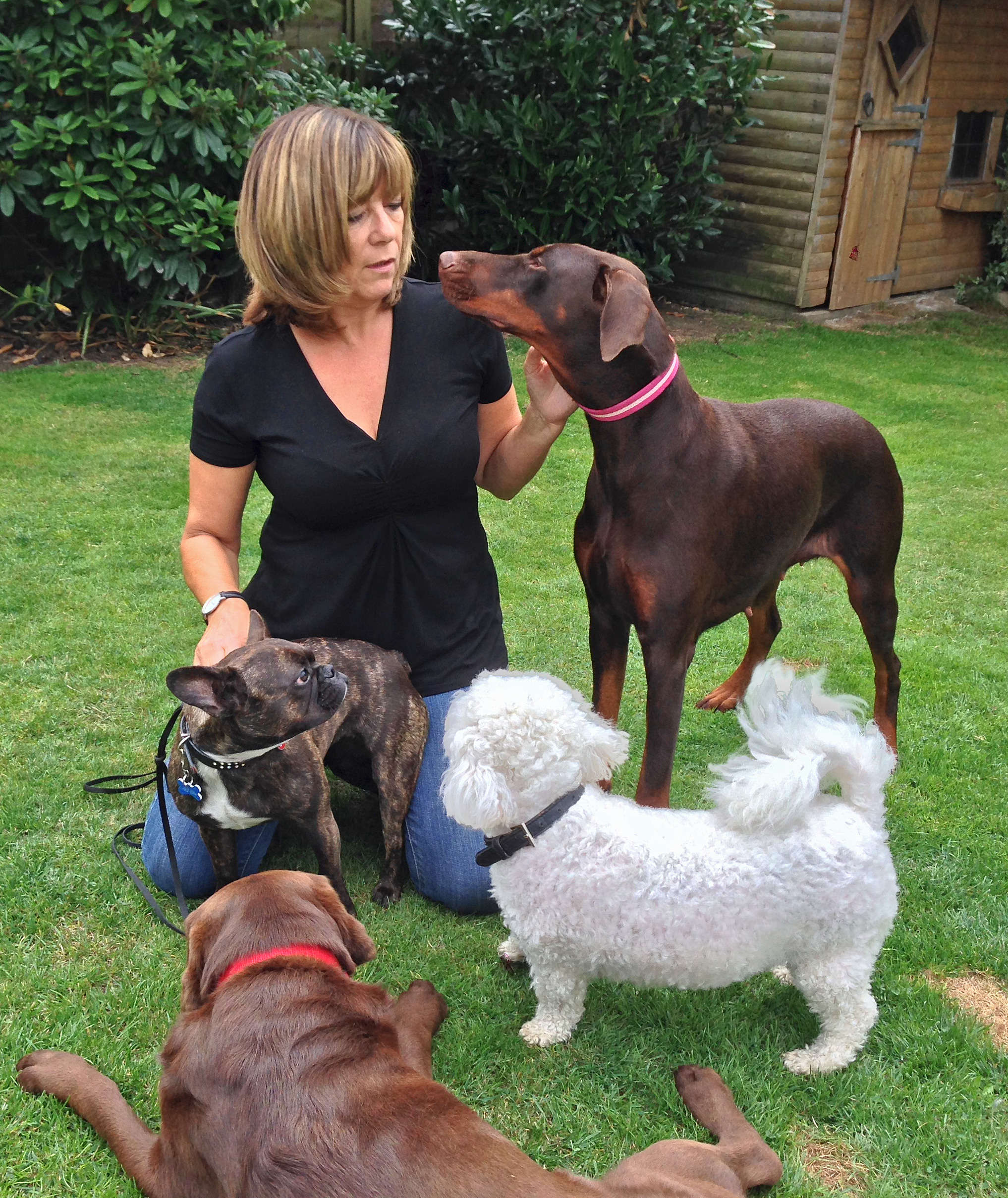 Good Dog Training Good dog obedience training