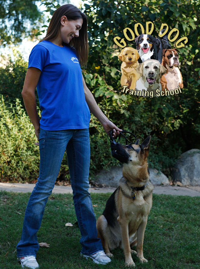 Good Dog Training School