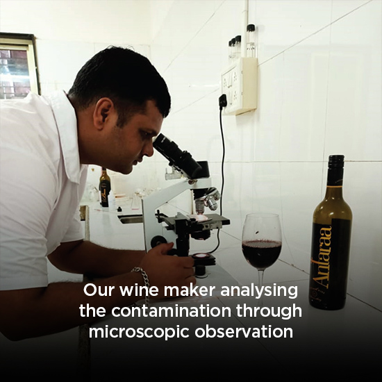 Winery & Vineyards Good Drop Wine