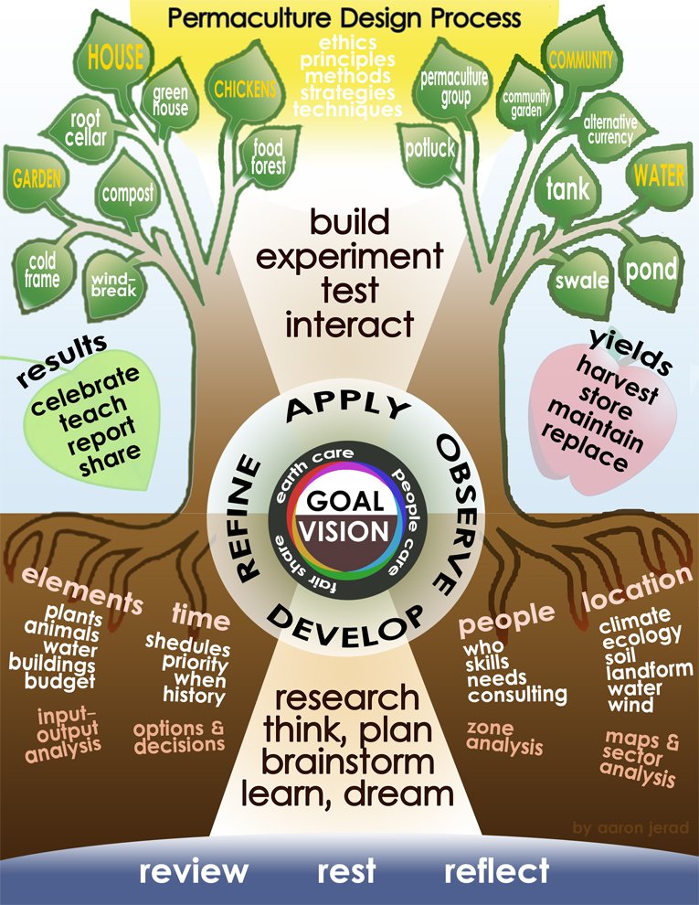 Permaculture Design Tree a diagram of the process