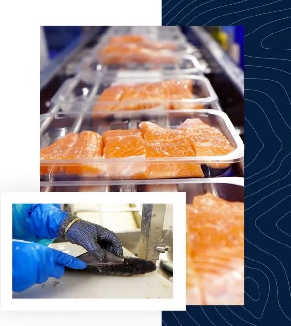 Processing Good’s of Cork Family Fishmongers