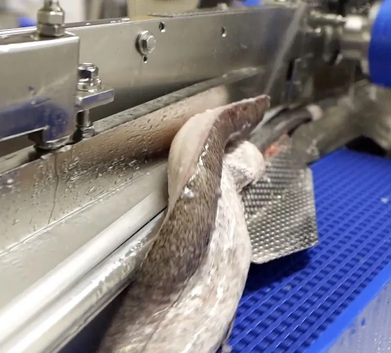 Facilities Good’s of Cork Family Fishmongers