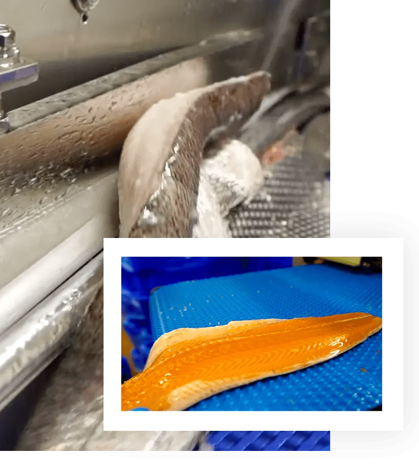 Processing Good’s of Cork Family Fishmongers