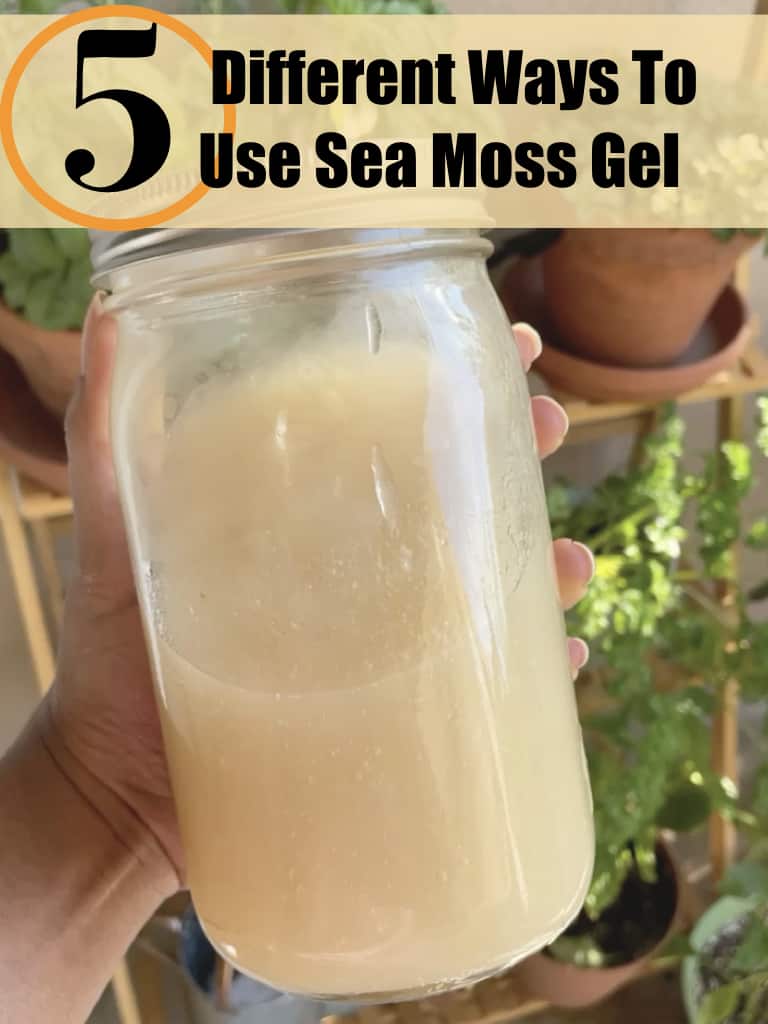 5 Different Ways To Use Sea Moss Gel Good Food Baddie