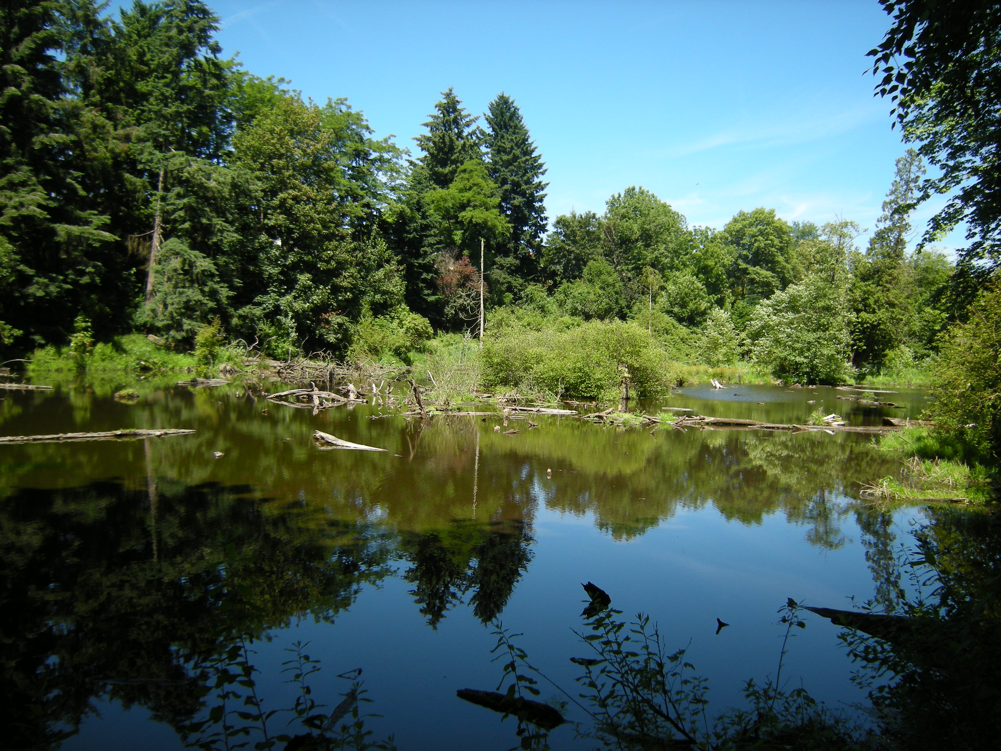 A walk around Reed Lake goodfruit